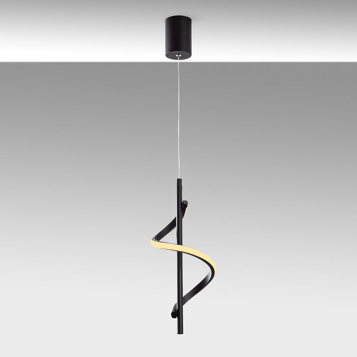 Black Metal Pendant Lamp Opulent
