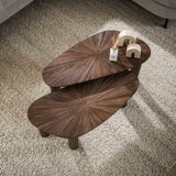 Coffee table set of 2 Myla Organic Teak Wood Brown 