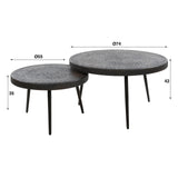 Venta Coffee Table Set Ferro Metallic 74 cm (set of 2) 