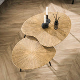 Coffee table set Kidney – Metal Antique Gold (2-piece) 