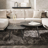 Organic Coffee Table Set of 2 Conner Ceramic Look Gray