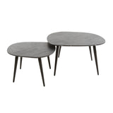 Organic Coffee Table Set of 2 Conner Ceramic Look Gray
