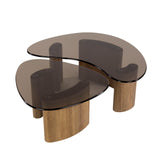 Organic coffee table set Bronze glass 2-piece 