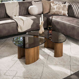 Organic coffee table set Bronze glass 2-piece 