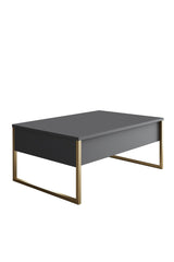 Furniture Set Anthracite Luxe - Coffee Table + TV Cabinet + Dresser - Gold Frame