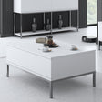 Coffee Tables - Rectangular Coffee Table White Lord 90x60 - Silver Frame - Dimehouse