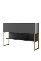 Modern Sideboard Anthracite Luxury 120x80x30 - Golden Frame - One Compartment 