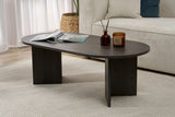Sable Lumière Black Coffee Table 119x60 cm Melamine 