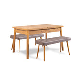 Santiago extendable dining table set 120 cm Atlantic Pine gray Melamine coated wood composite