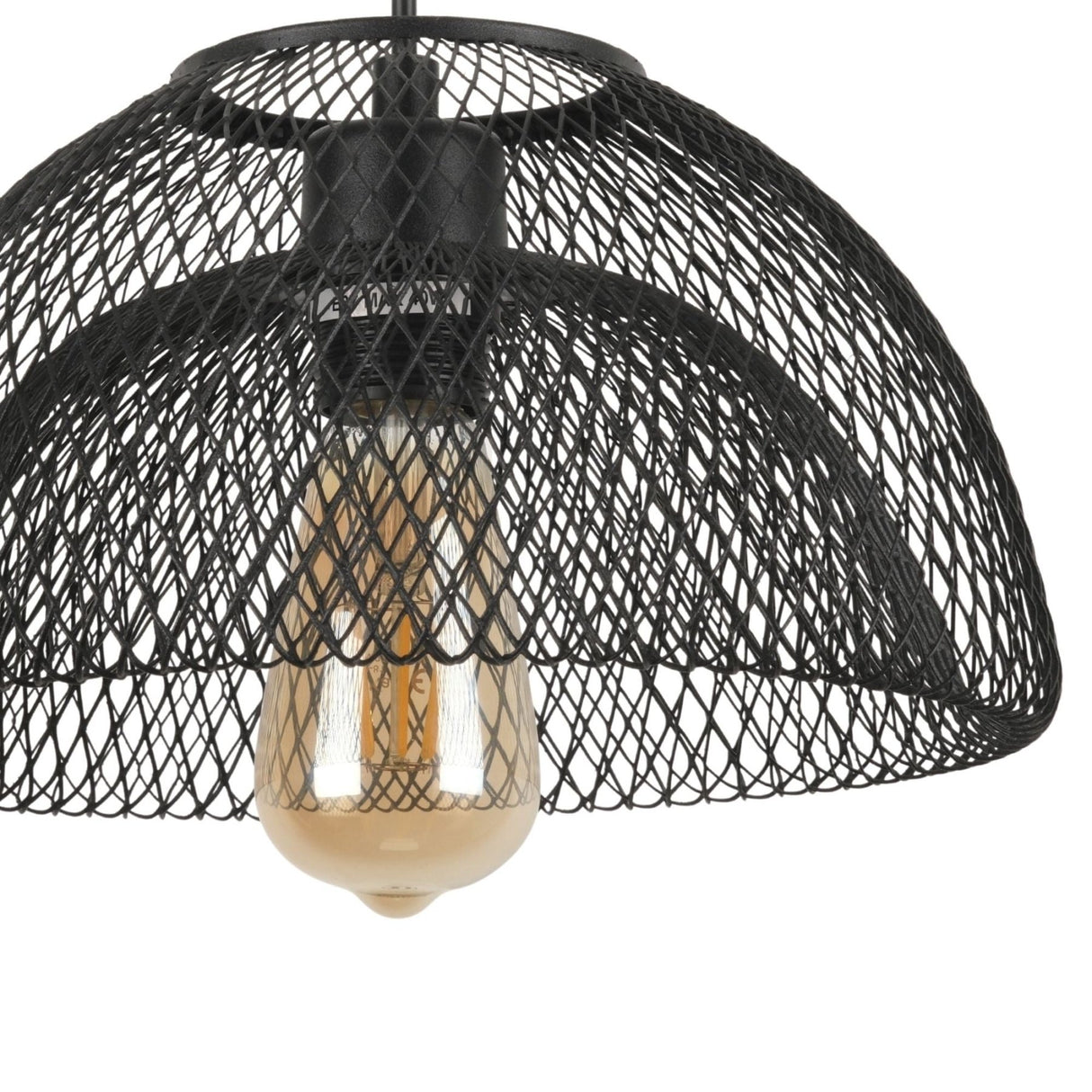 Birch - 16400 - 8 - A Black Metal Cap