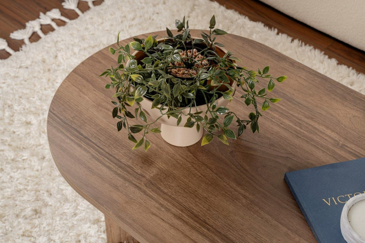 Coffee tables-Oval coffee table walnut melamine - Japandi - 119x60 cm - Sota-Dimehouse