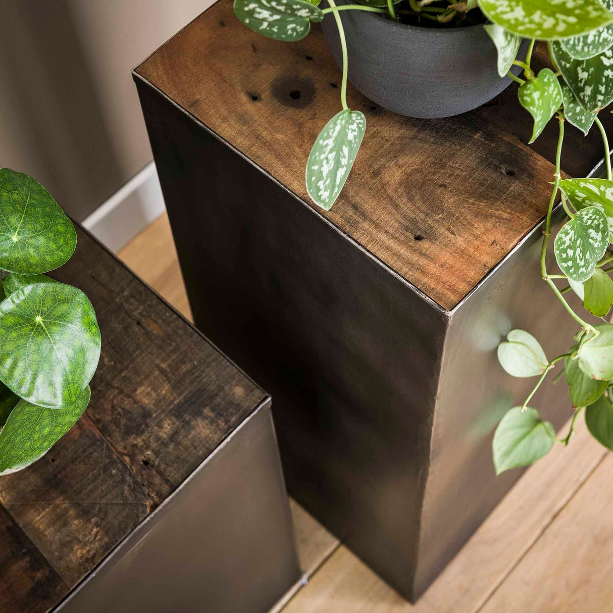 Flower column Crosby DH Interior Hardwood LxWxH 53x33x33 Hardwood Atmospheric photo detail